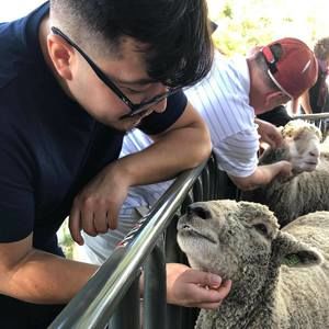 Meet your Posher, Edson alessandro